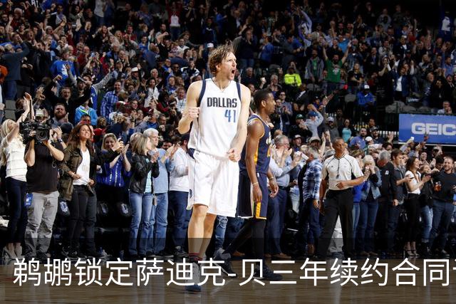 鹈鹕锁定萨迪克-贝三年续约合同评级为B